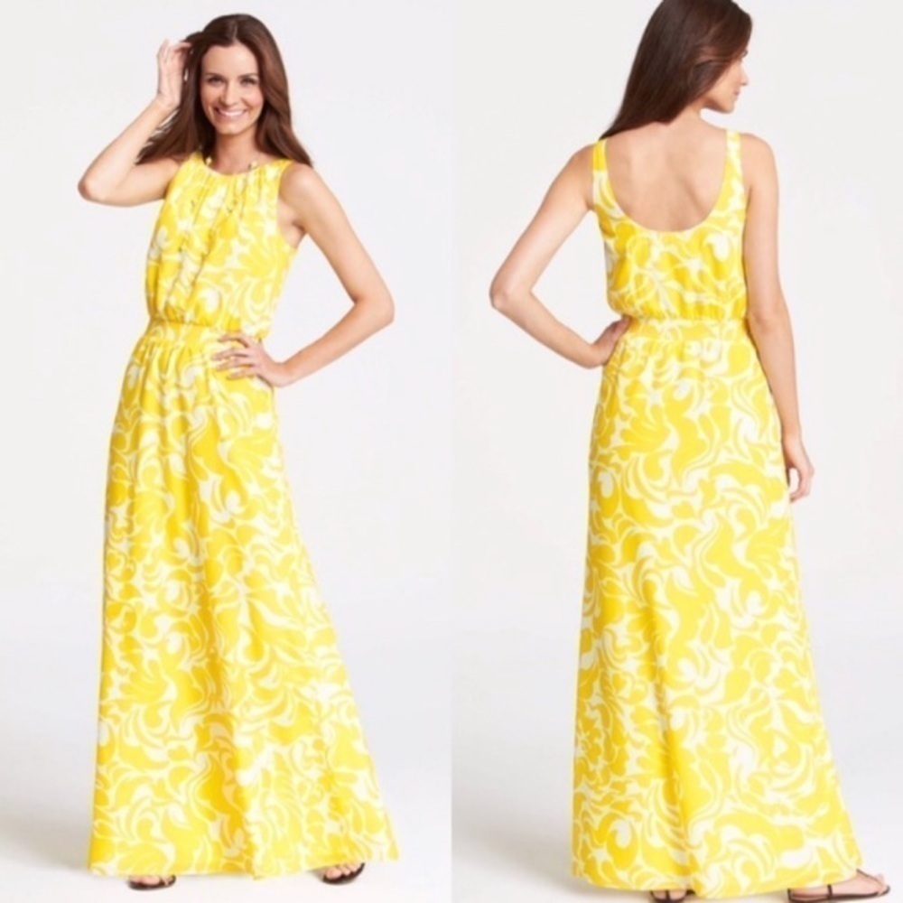 Ann Taylor Maxi Dress Yellow and White floral